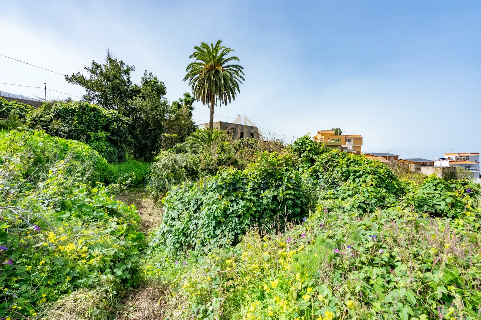 Finca rústica en venda en La Victoria de Acentejo