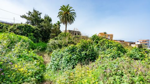 Foto 5 de Finca rústica en venta en Calle Marrero, 16, La Victoria de Acentejo, Santa Cruz de Tenerife