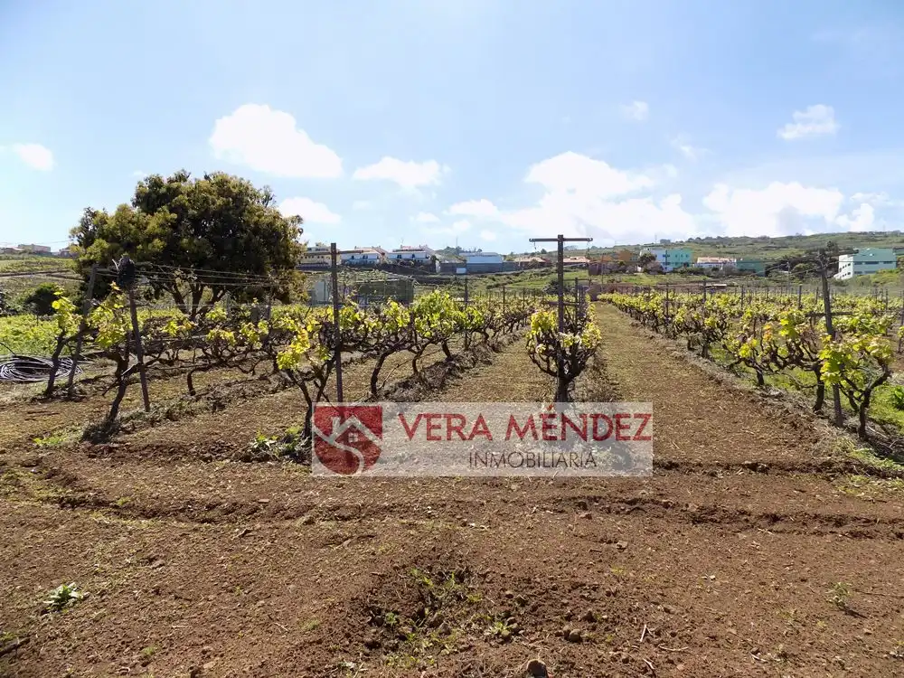 Finca rústica en venta en El Sauzal