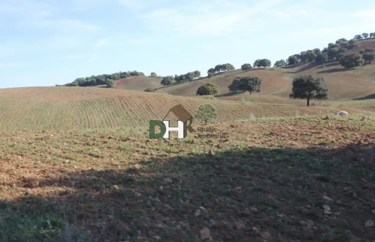 Terrenys i solars en venda a Norte, imagen 4