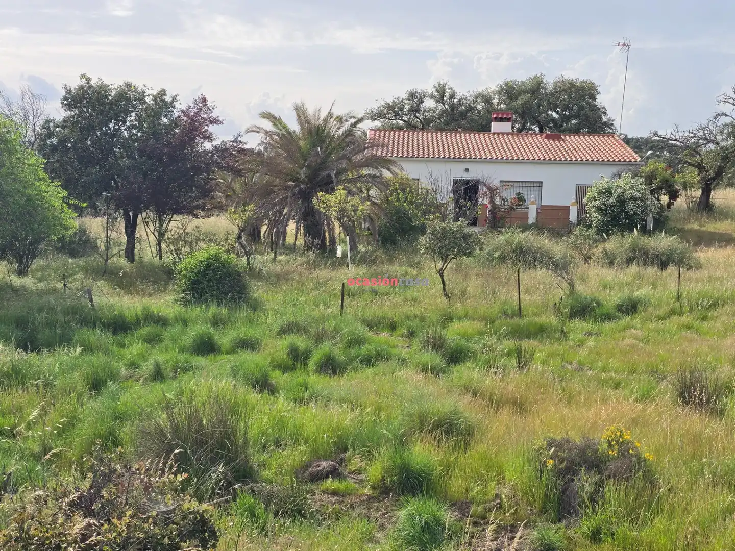 Casa o xalet en venda en Alcaracejos