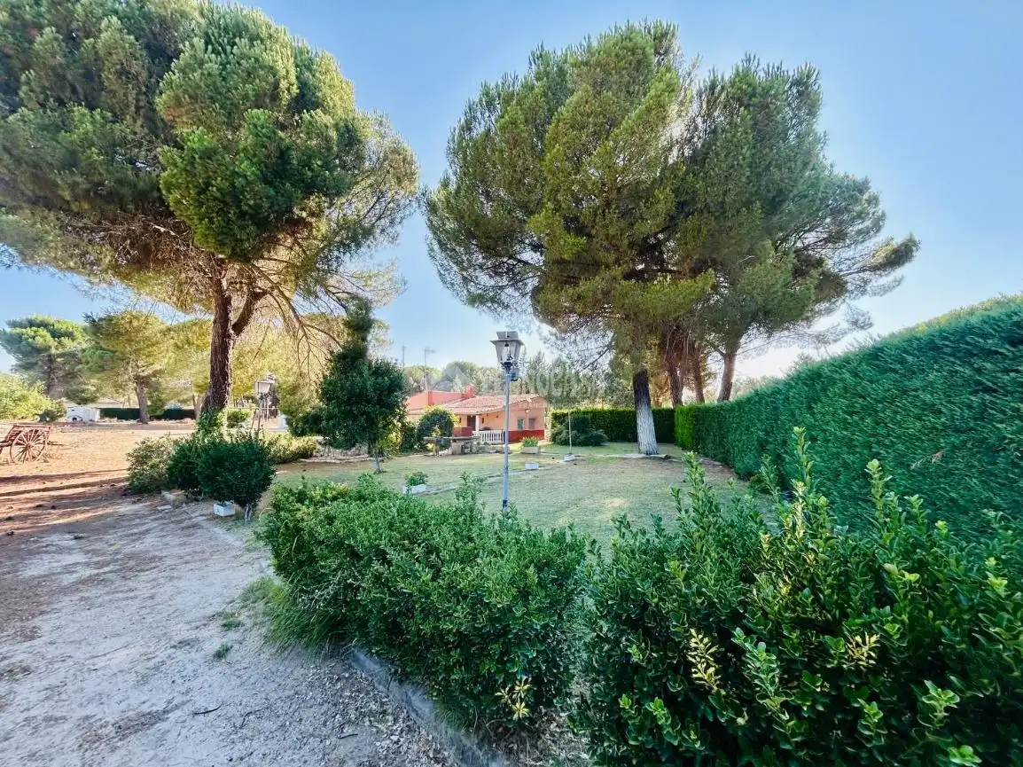 Jardín de Casa o chalet en venta en Traspinedo