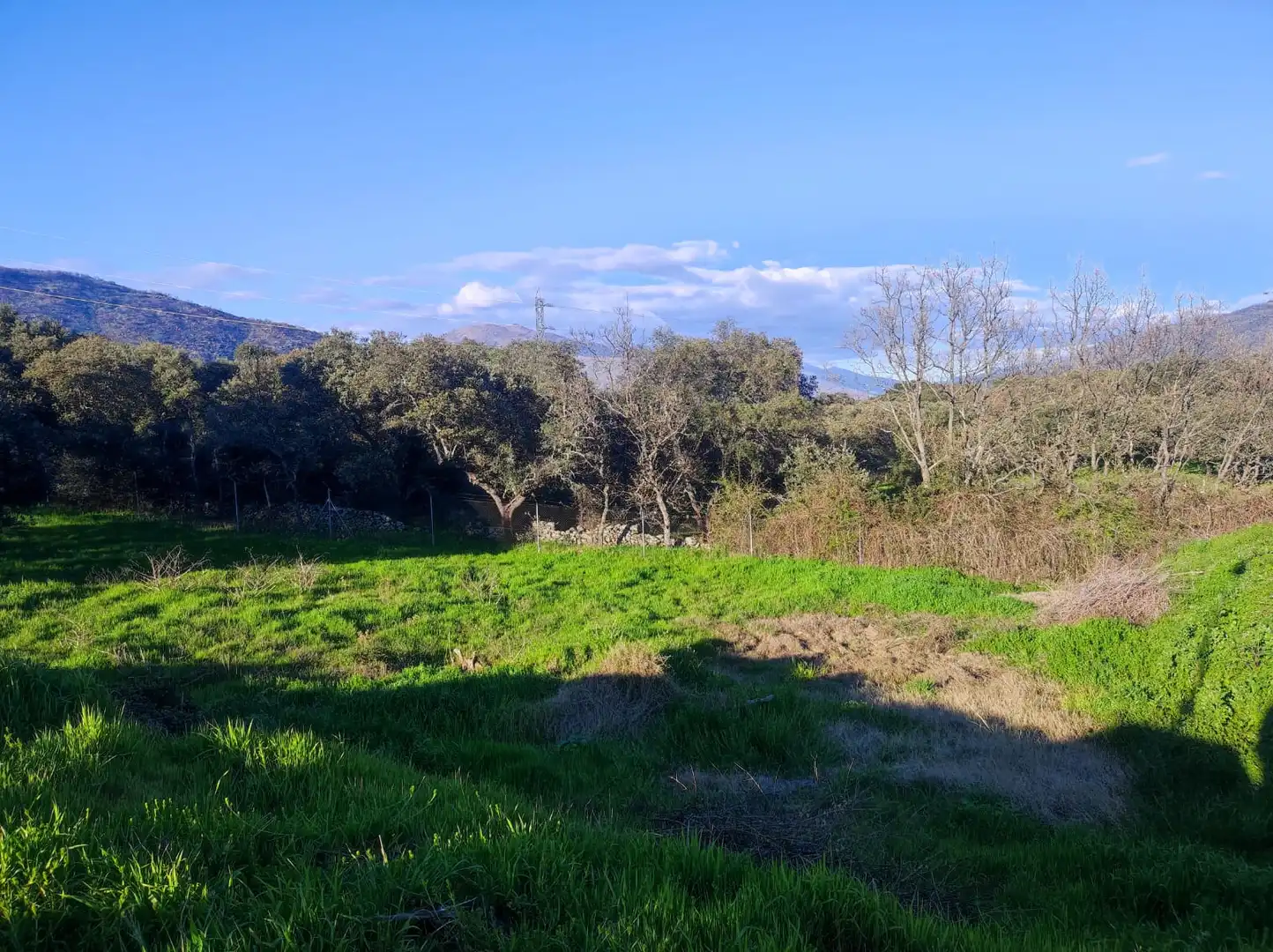 Terreni e lotti in vendita a Urbanización Valle del Jerte 125, imagen 5