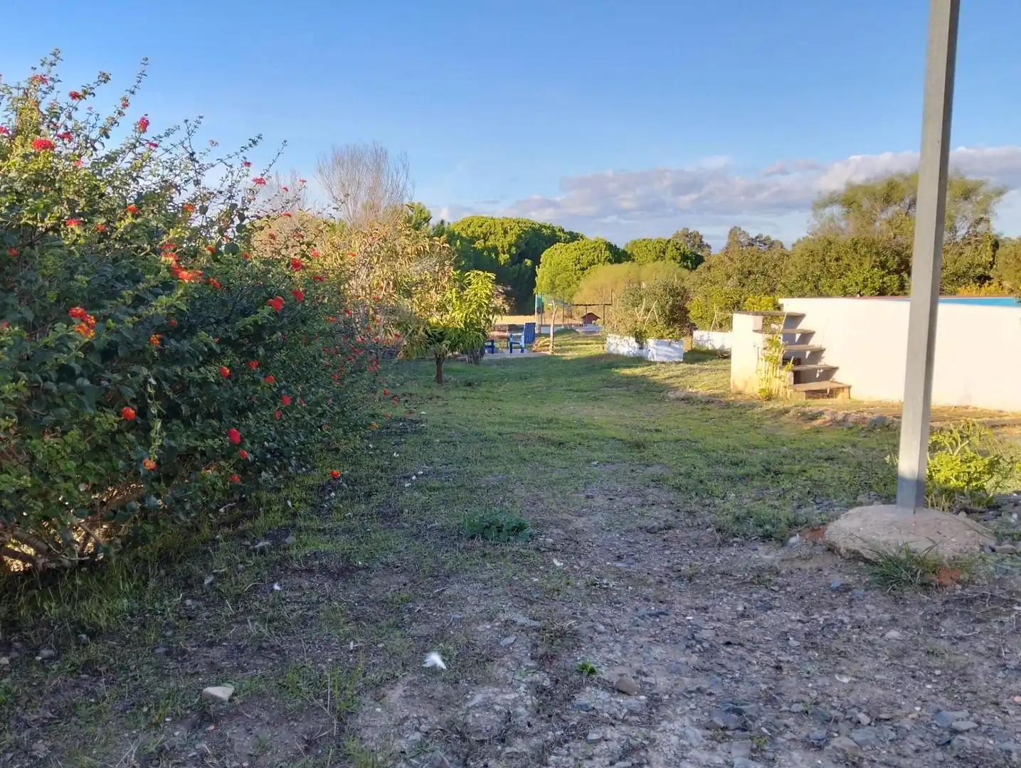 Finca rústica en venta en Lepe con Trastero y Piscina