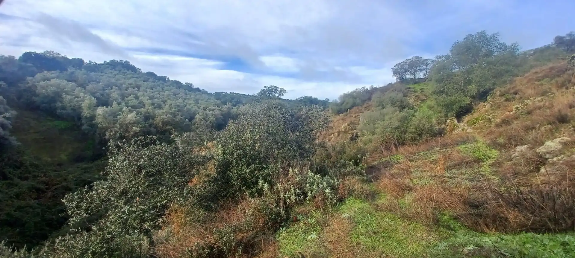 Terreny rústic en venda a Cazalla de la Sierra, imagen 35