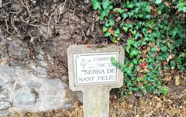Wohnbaugrundstück zum Verkauf in Carrer Serra de Sant Feliu, imagen 2