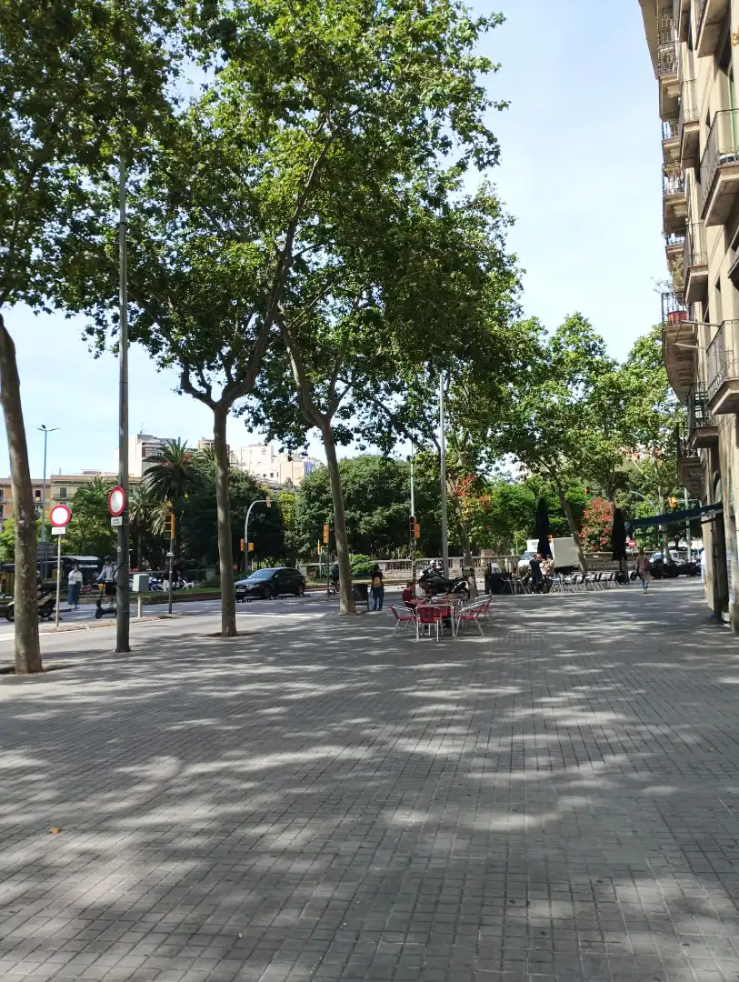 Individuale in vendita a Carrer de Roger de Flor, imagen 12