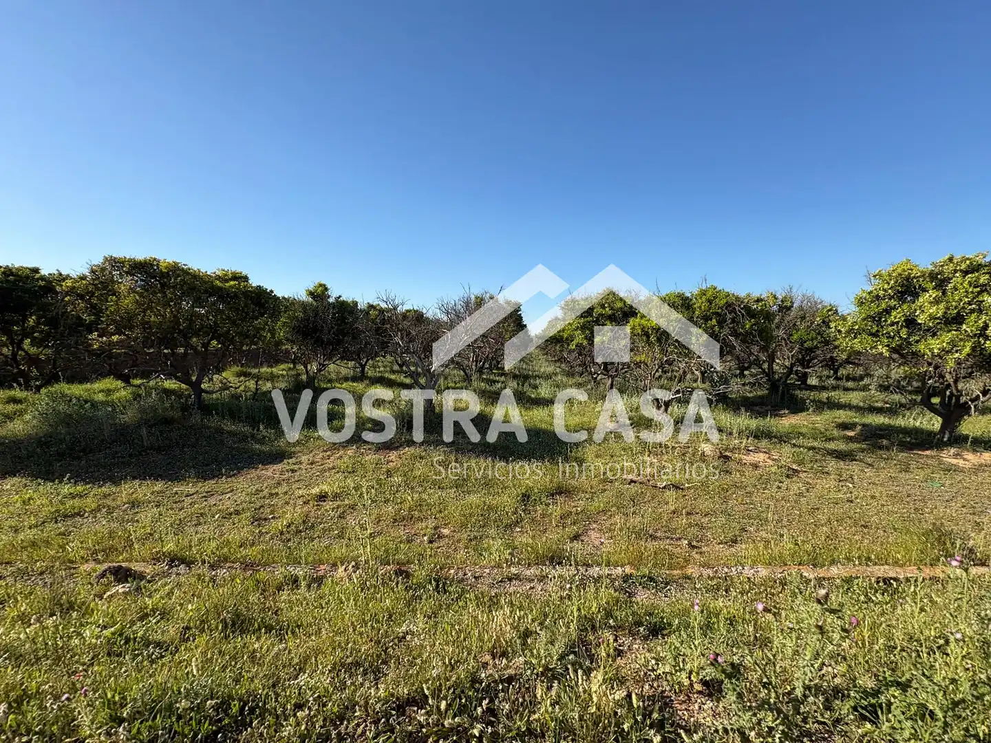 Land for sale in Chiva