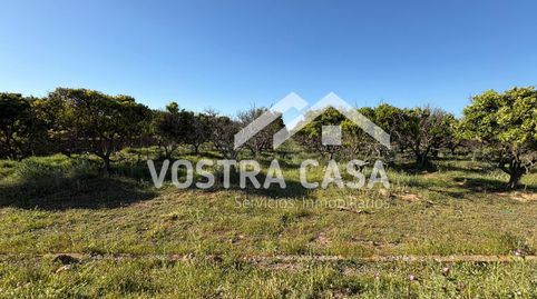 Photo 5 of Land for sale in 20, -1, La Loma, Chiva
