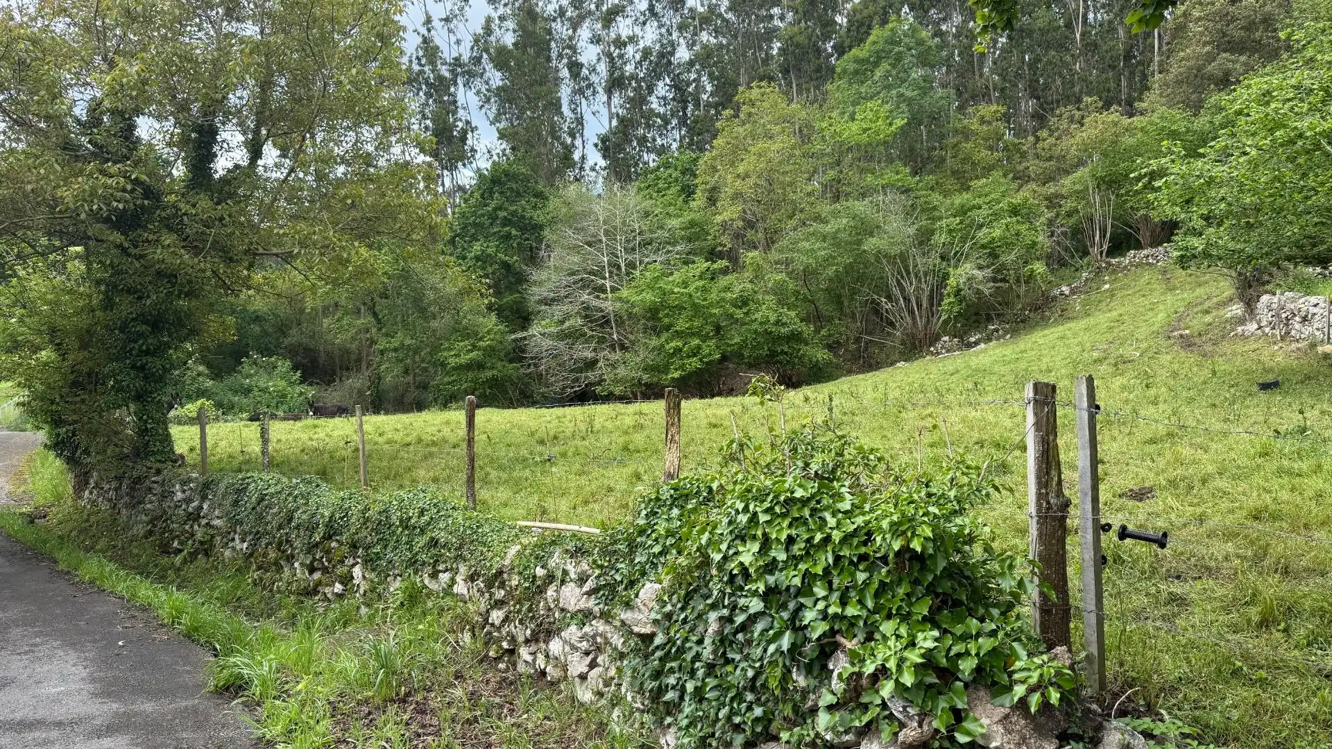 Land for sale in Valdáliga