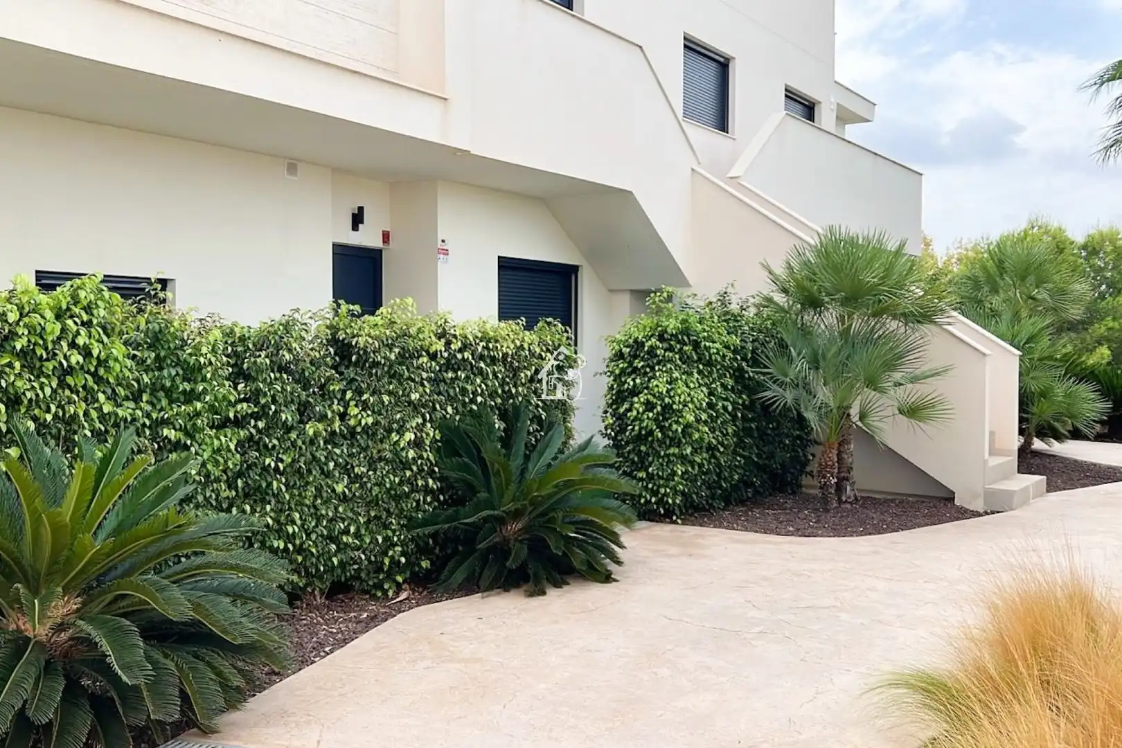 Bungalow con terrazza in affitto a El Pinar de Campoverde, imagen 4