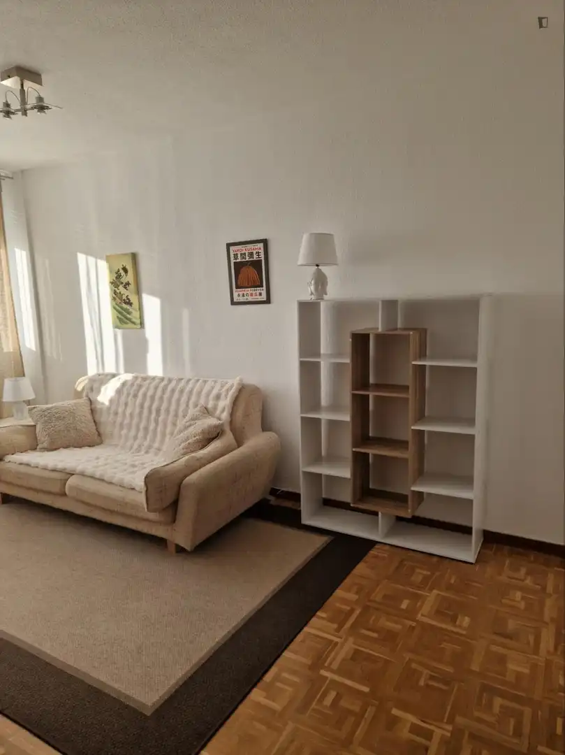 Sala de estar de Apartamento de alquiler en Madrid con Aire acondicionado, Calefacción y Amueblado