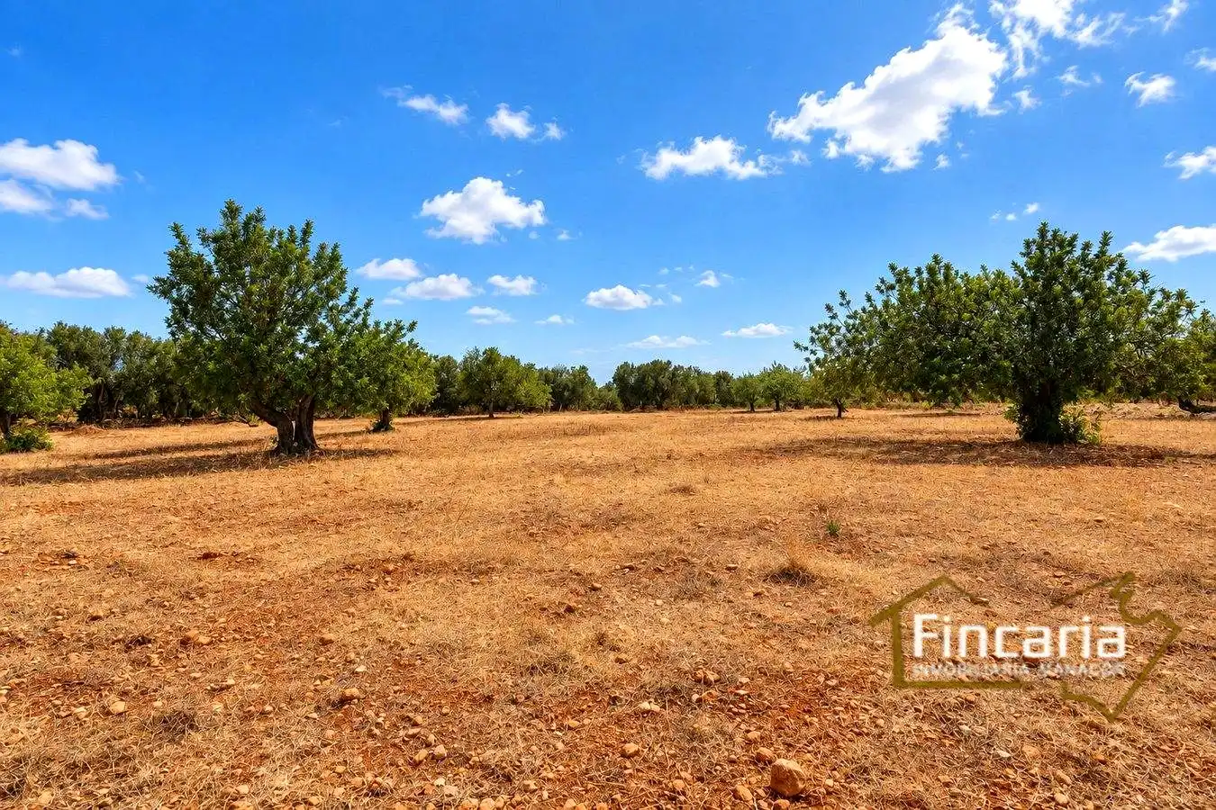 Country homes for sale in Marratxinet