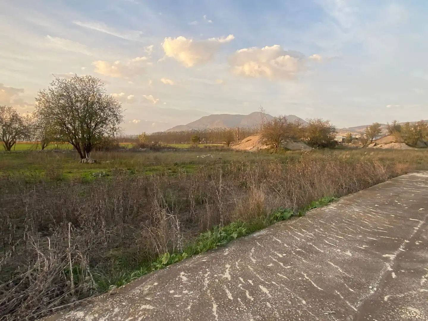 Terreni e lotti in vendita a Atarfe, imagen 19