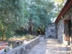 Jardín de Finca rústica en venta en San Bartolomé de Tirajana con Jardín privado y Terraza