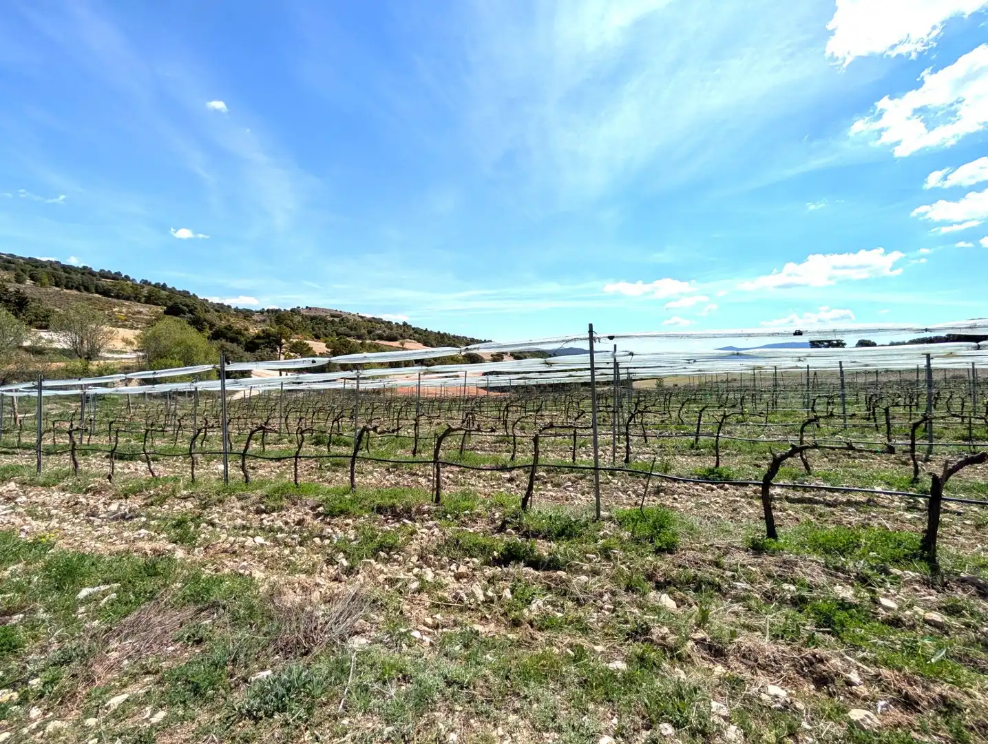 Country homes for sale in Moratalla  with Heating, Private garden and Furnished