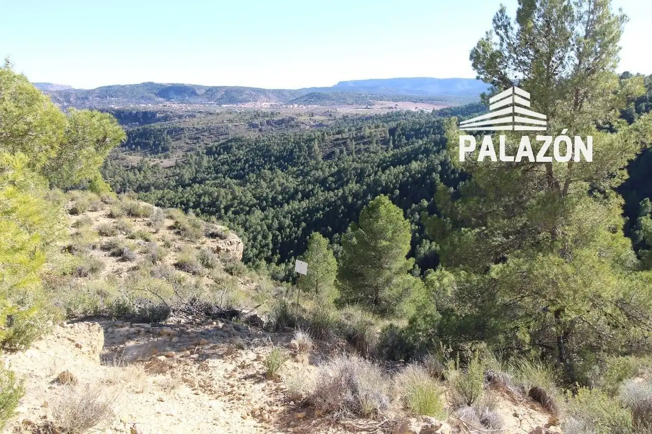 Rural land for sale in Letur