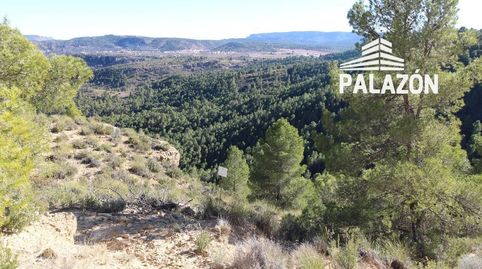 Finca de caza en venta en Letur Albacete