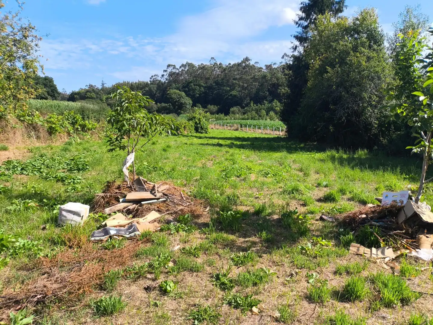 Casa o xalet en venda en Santa Comba amb Traster i Moblat