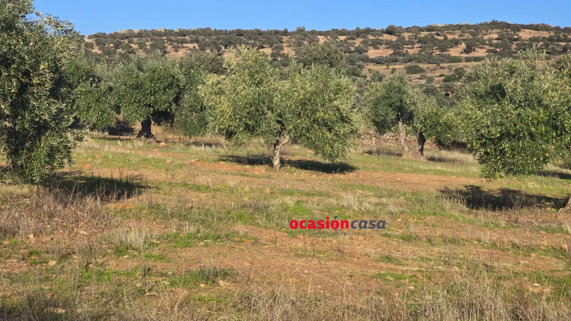 Wohnbaugrundstück zum Verkauf in La Granjuela, imagen 3
