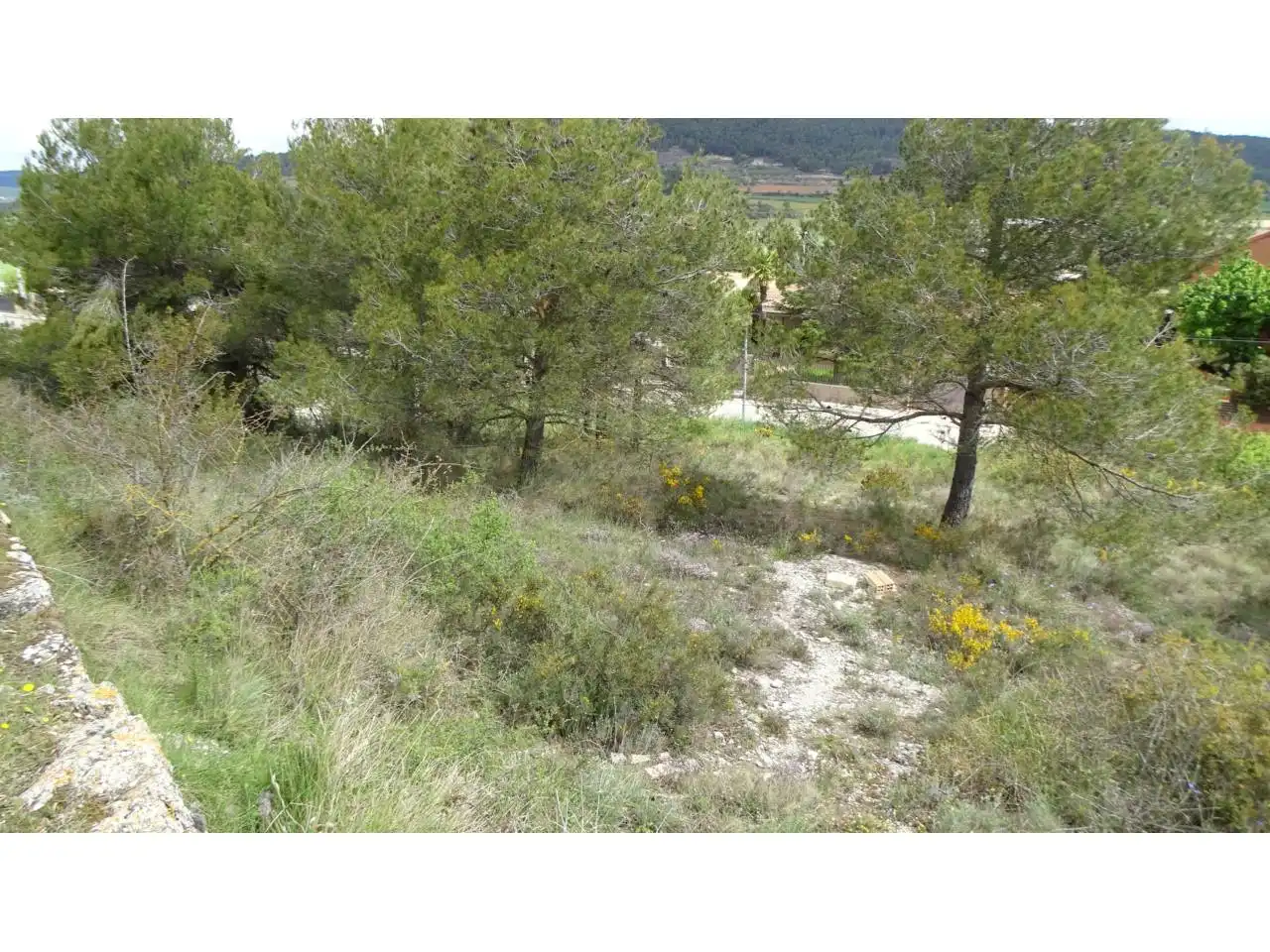 Residential zum Verkauf in La Llacuna