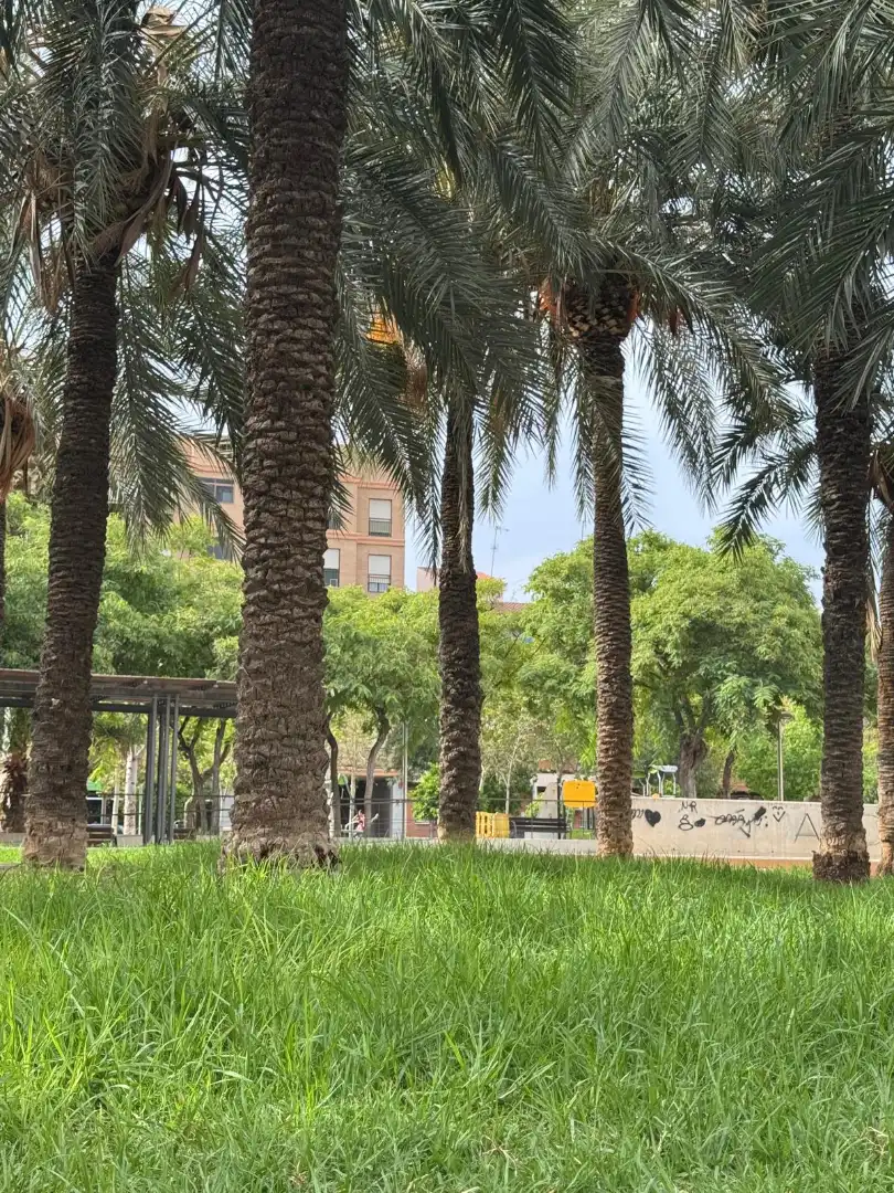 Vista exterior de Pis en venda en Elche / Elx amb Alarma