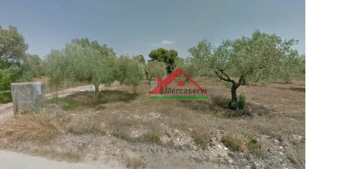 Finca rústica en venta en Vinaròs