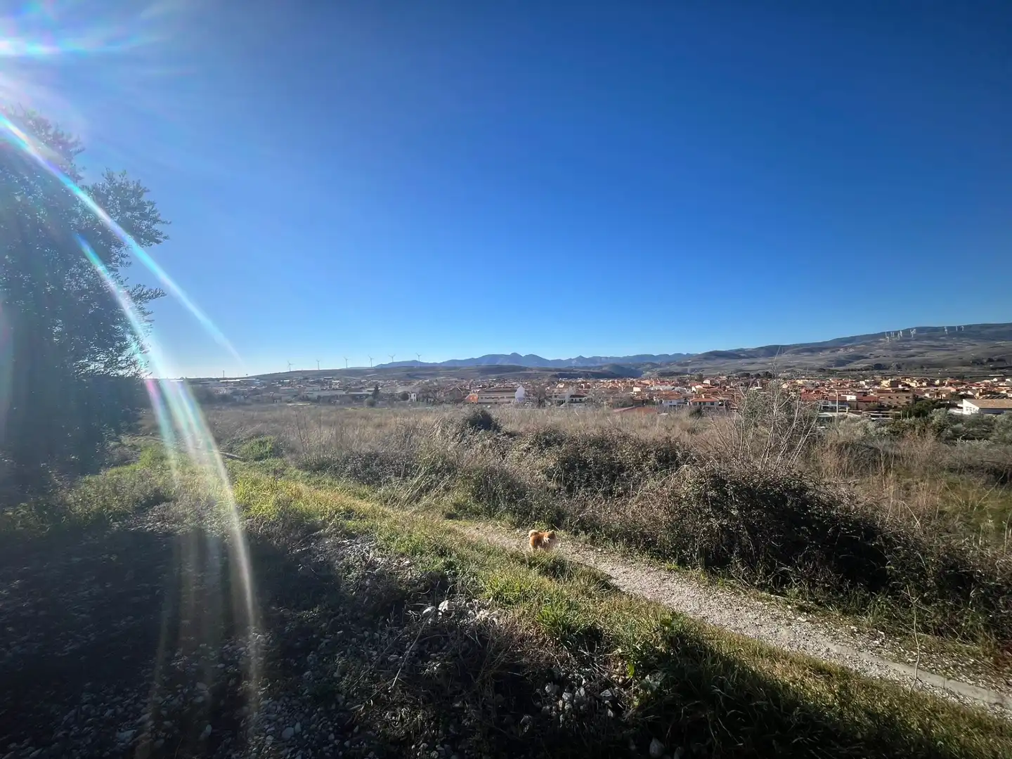 Rural land for sale in Calle Jose Saramago 2, imagen 5