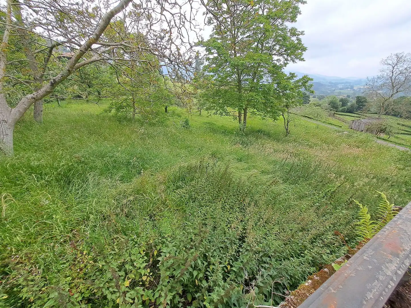 Casa o chalet en venta en Parroquias suroccidentales