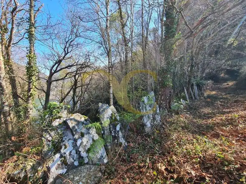 Casa o xalet en venda en Villayón amb Jardí privat