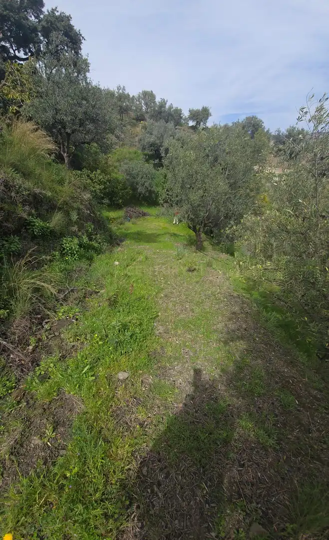 Terreno rustico in vendita a Polígono 11 Parcela 307 EL CERRILLAR. LOS GUAJARES (GRANADA), imagen 10