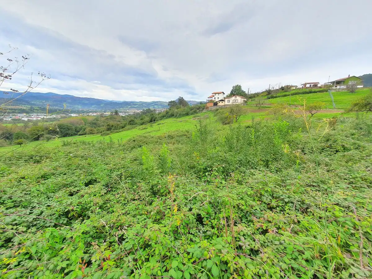Terreno residencial en venta en Candamo, imagen 5