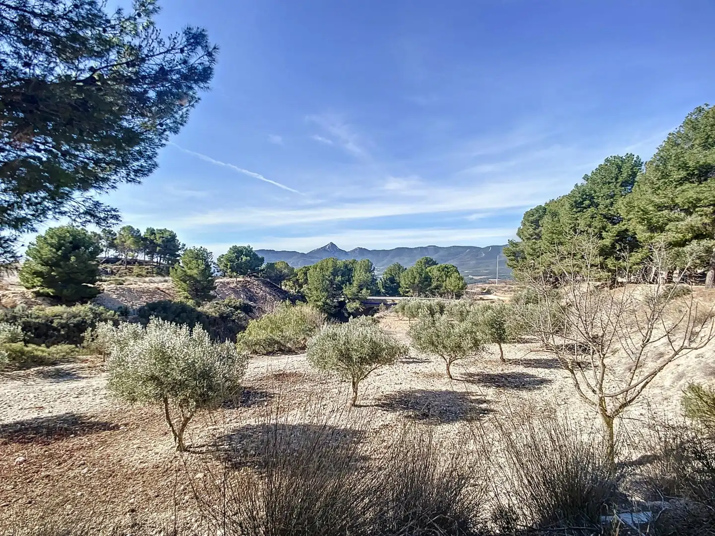 Finca rústica en venta en Tibi con Jardín privado, Terraza y Trastero