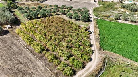 Photo 4 of Land for sale in Urbanizaciones, Valencia