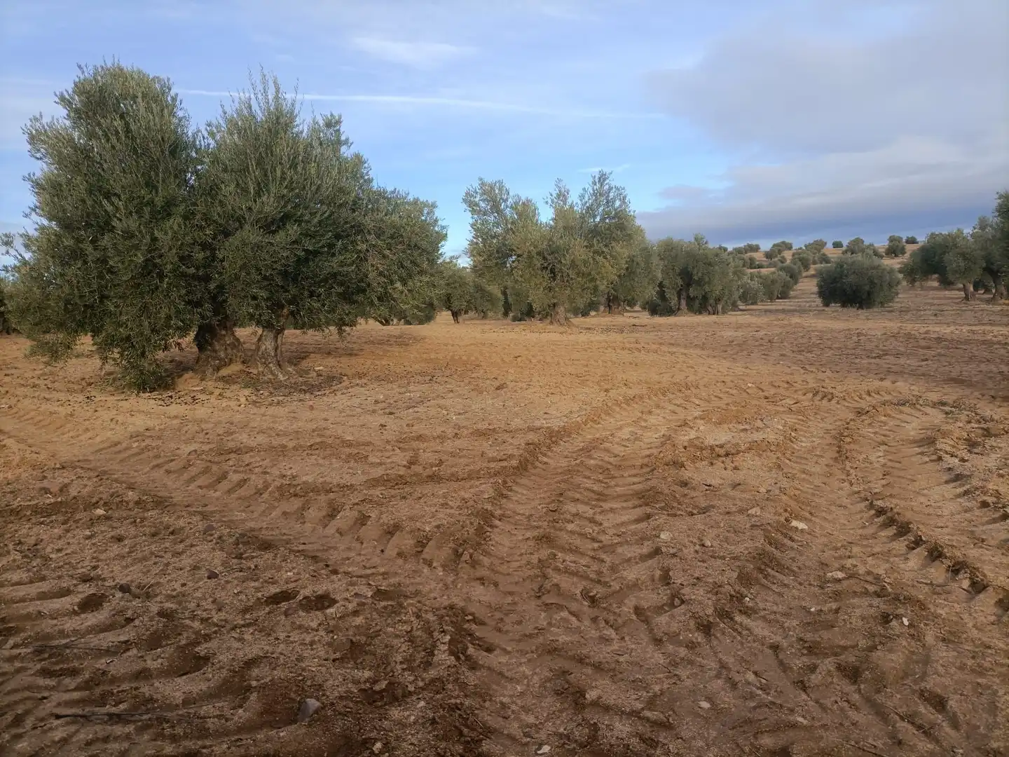 Terreno rustico in vendita a Nambroca, imagen 4