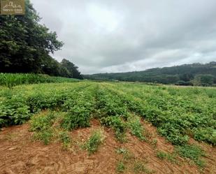 Finca rústica en venda en Coristanco