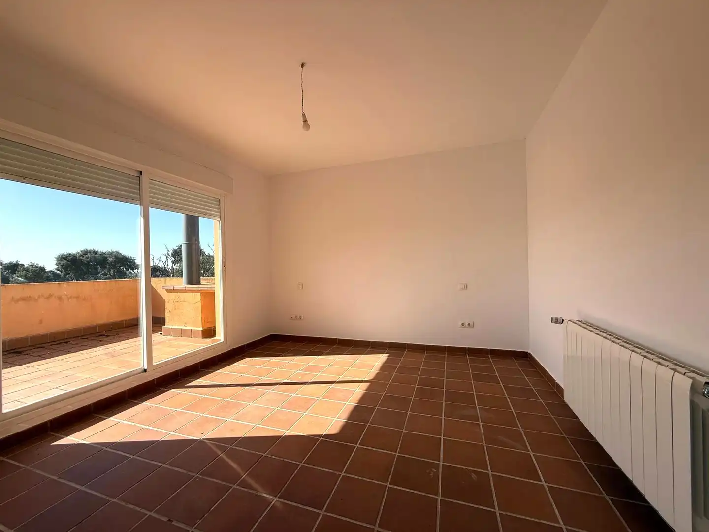 Sala de estar de Casa o chalet en venta en Carrascal de Barregas con Jardín privado y Terraza