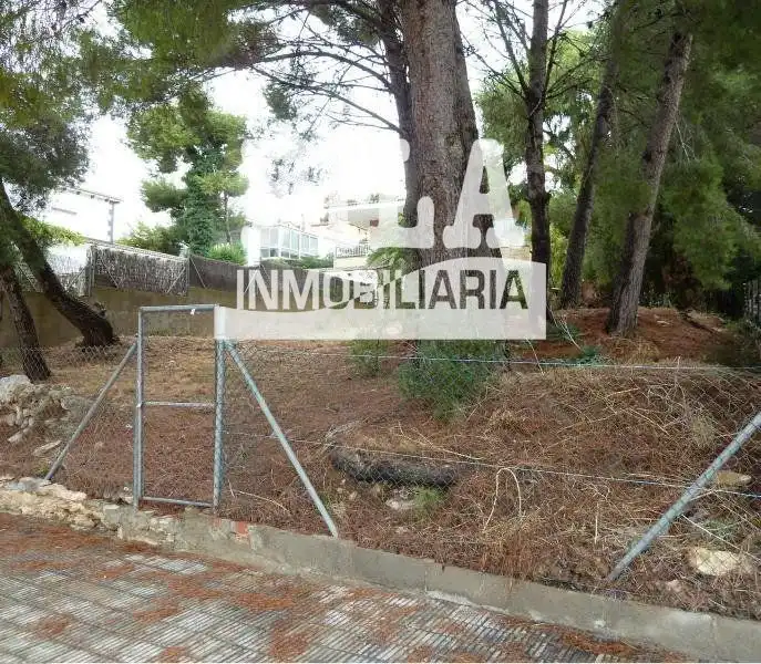 Rural land for sale in Bellamar, imagen 6