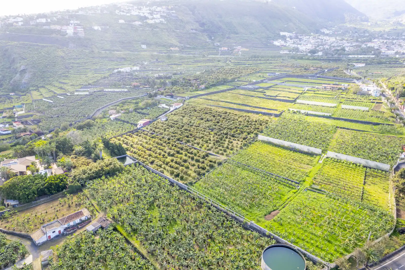 Exterior view of Land for sale in La Orotava