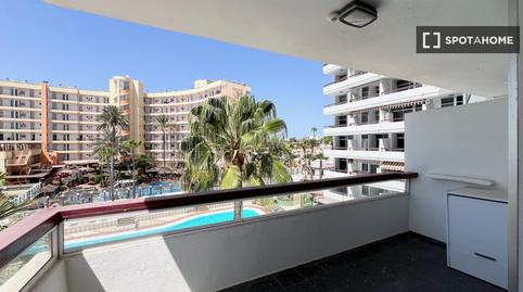 Photo 4 of Study to share in Playa del Inglés, Las Palmas