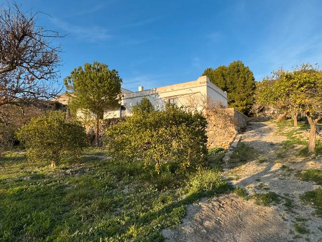 Terreno en Venta en Paraje Baldomino en Alsodux