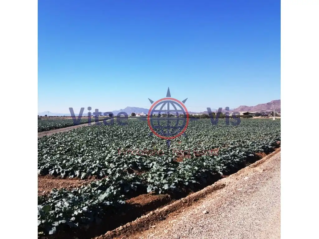 Terreny residencial en venda a Pedanías Centro