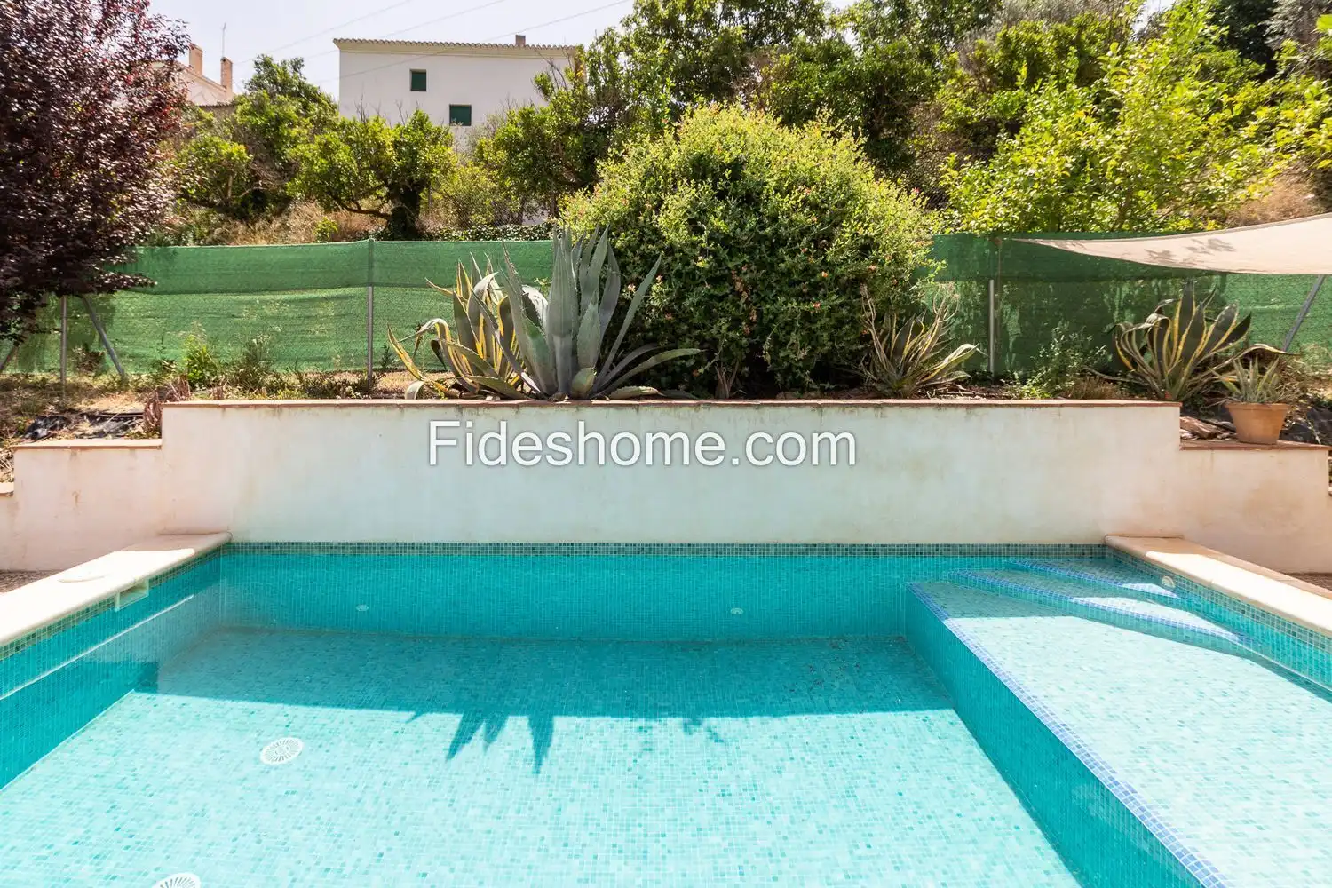 Casa rustica con piscina in vendita a Avenida 28 de Febrero 8, imagen 45