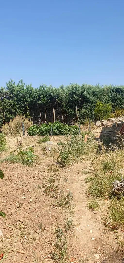 Casa o chalet en venta en El Casar con Terraza, Trastero y Piscina
