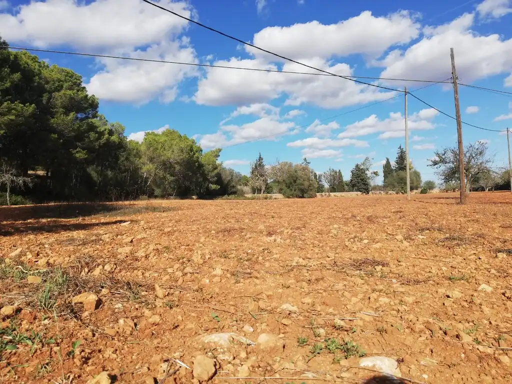 Terreno rustico in vendita a Algaida, imagen 4