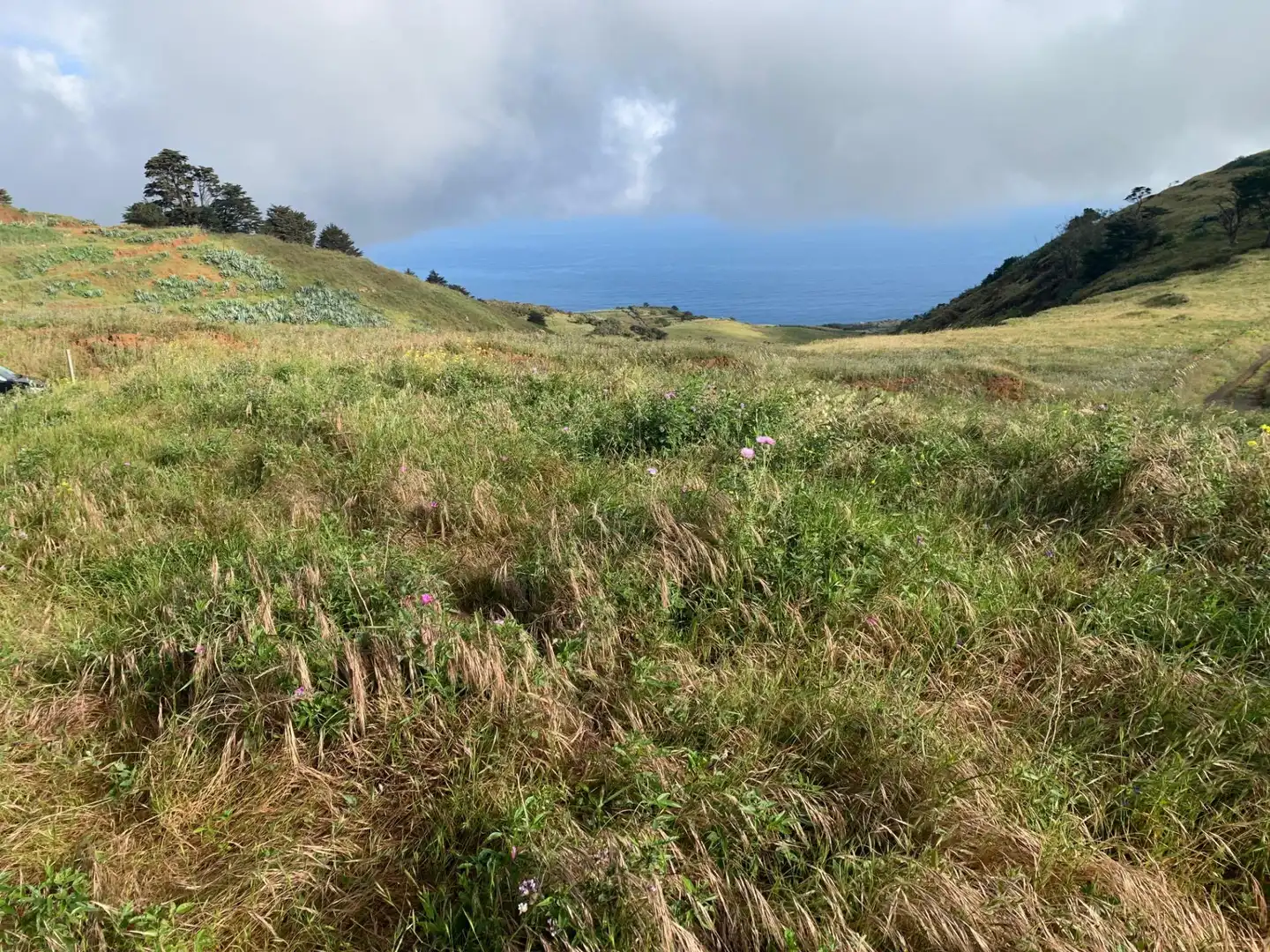 Terreny en venda en Valverde (Santa Cruz de Tenerife)