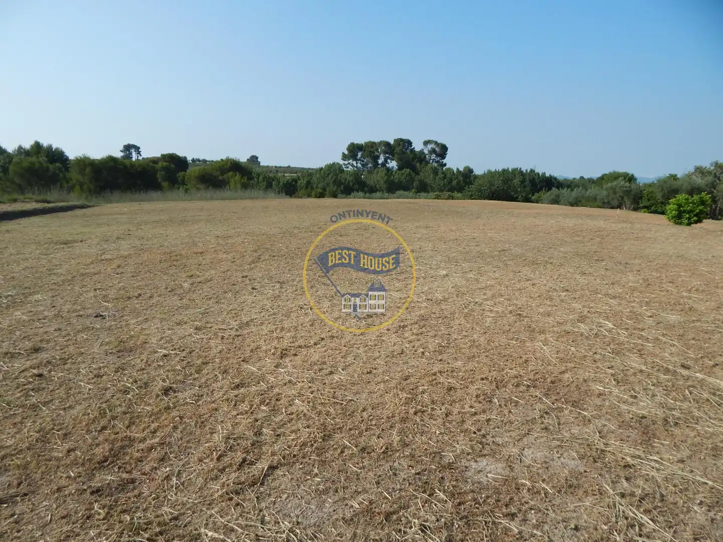 Terreno rustico in vendita a Albaida