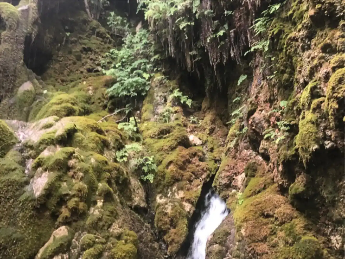 Vista exterior de Dúplex en venda en Pozo Alcón amb Jardí privat, Traster i Moblat