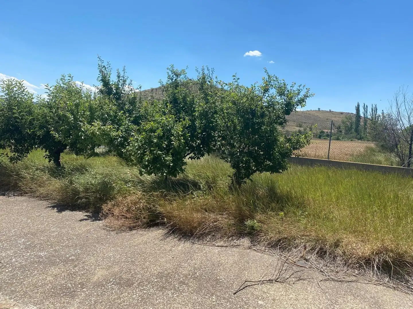 Finca rústica en venda a Calle SERNA, Tornos