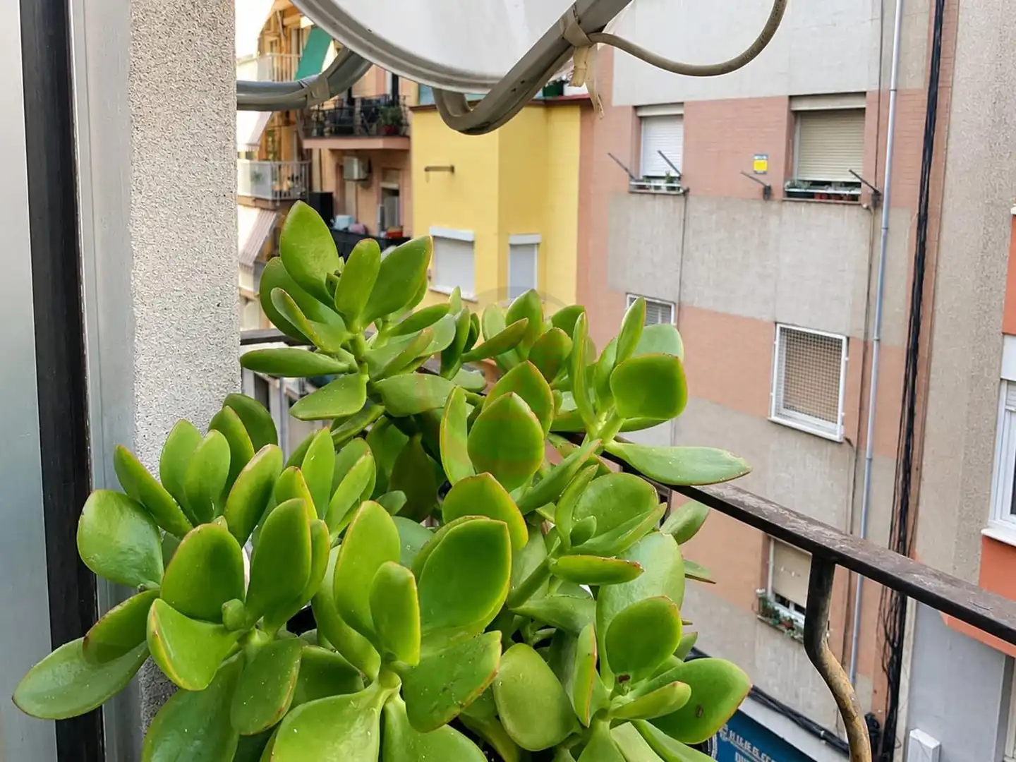 Wohnung zum Verkauf in Joventut, imagen 9